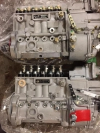 _________Cummins1_