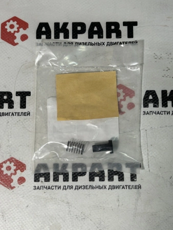 Уплотнительное кольцо ND094086-0100